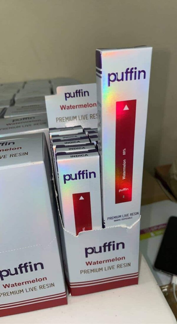 Puffin disposable